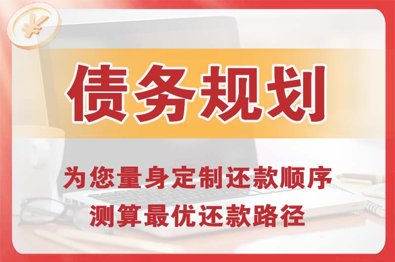 白沟债务规划